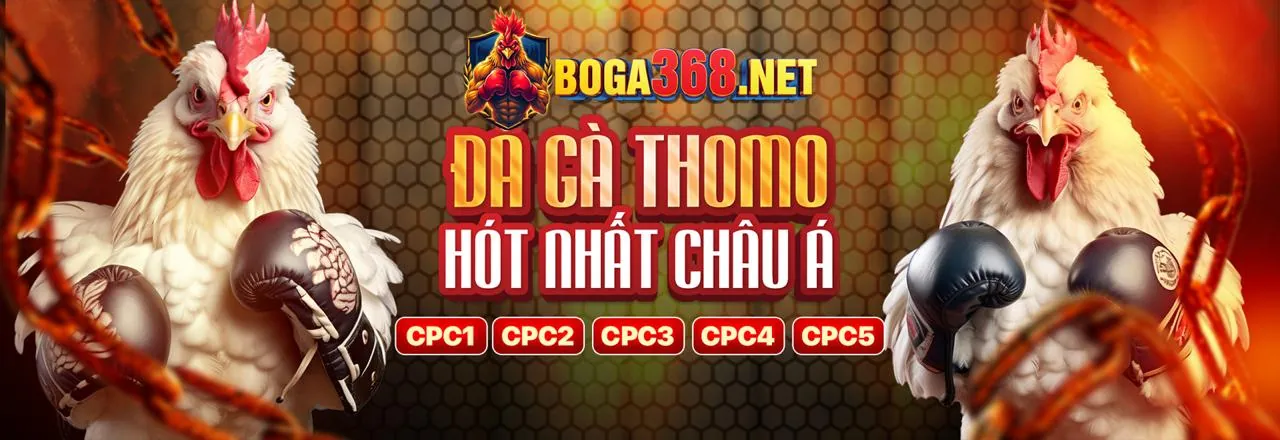 Công cụ tiếp thị chuyên nghiệp kuwin bet