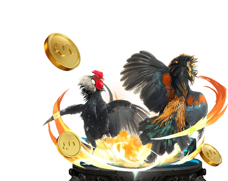 Tổng quan thương hiệu kuwin bet